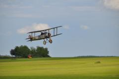 bilder_mareen_5_20110721_1246541805