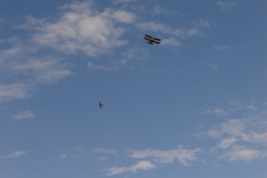 flugtag_2011_117_20110731_1620309969