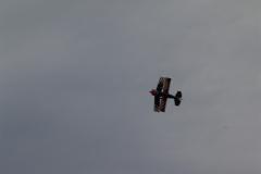 flugtag_2011_130_20110731_1839640292