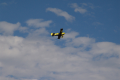 flugtag_2011_135_20110731_1739520199