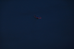 flugtag_2011_141_20110731_1692343389