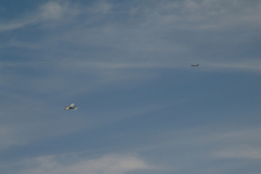 flugtag_2011_16_20110731_1397770257