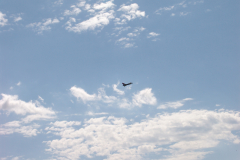 flugtag_2011_47_20110731_1441627317