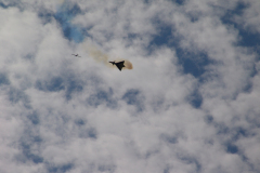 flugtag_2011_50_20110731_1677521355