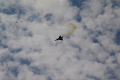 flugtag_2011_51_20110731_1658160082