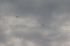 flugtag_2011_92_20110731_1907777517