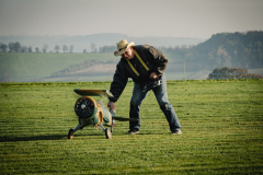 abfliegen2021-_8_20211030_2015587812