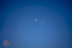 anflug-2023-_13_20230430_1594713499