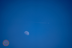 anflug-2023-_36_20230430_1468183431