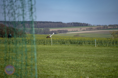 anflug-2023-_38_20230430_1641650202