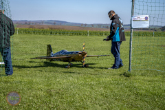 anflug-2023-_54_20230430_1586802533