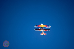 anflug-2023-_58_20230430_1668793305