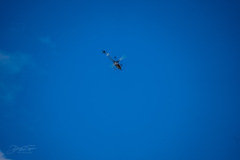 18042022_17_20220418_1888037797