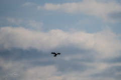 18042022_26_20220418_1101432402