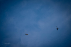 flugsamstag-30-04-_16_20220501_1016881598