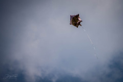 flugsamstag-30-04-_22_20220501_1505627102