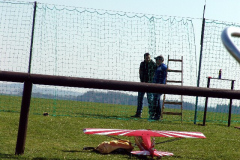 ae_12_20140330_1475054120