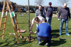 ae_17_20140330_1778347658