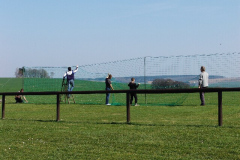ae_4_20140330_1201673936