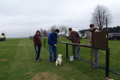 arbeitseinsatz_2013_16_20130423_1961559738