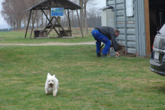 arbeitseinsatz_2013_7_20130423_1088819135