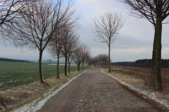 arbeitseinsatz_11_20120402_1395578288
