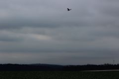 arbeitseinsatz_12_20120402_1530648719