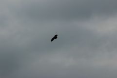arbeitseinsatz_14_20120402_1122520053
