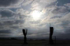 arbeitseinsatz_23_20120402_1911837305