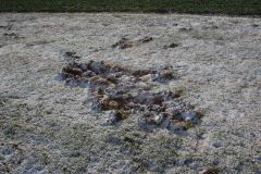arbeitseinsatz_27_20120402_1212823002