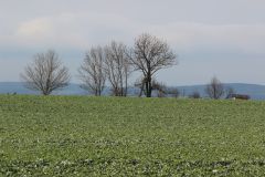 arbeitseinsatz_28_20120402_1113980971