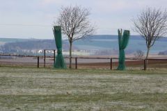 arbeitseinsatz_32_20120402_1692988927