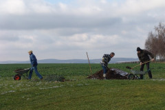 arbeitseinsatz_35_20120402_1227234228