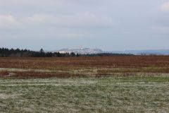 arbeitseinsatz_9_20120402_1208761222