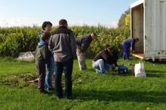 arbeit-cont_2_20151002_1777614667