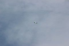 september_2_20120829_1136244841