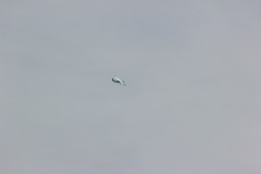 september_8_20120829_1247536096
