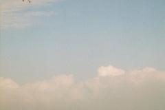 1homepage_65_20110223_1202081752