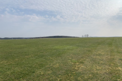 erste Bilder