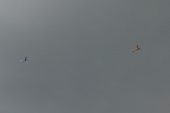 f-schlepp_versuch_1_22_20120715_1550389014