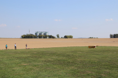 f2019_29_20190904_1910235206