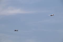 f2019_39_20190904_1940175490