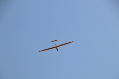 f2019_50_20190904_1143990198