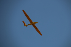 f2019_51_20190904_1774802749