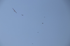 f2019_7_20190904_1175719952