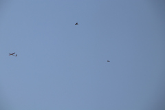 f2019_9_20190904_1092362691