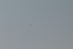 fschelpp2015_21_20150705_1996552207