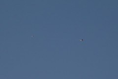 fschelpp2015_31_20150705_1288804041