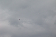 schlepptreffen_21_20130625_1616755434