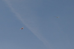 f-schlepp_2versuch_18_20120822_2063450597